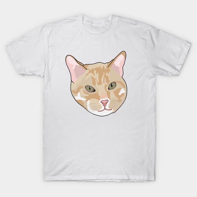 Kitty Face T-Shirt by crankycranium